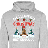 All I want for Christmas - Personalisierbarer Hoodie (Unisex)