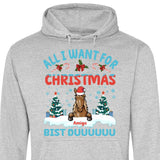 All I want for Christmas - Personalisierbarer Hoodie (Unisex)